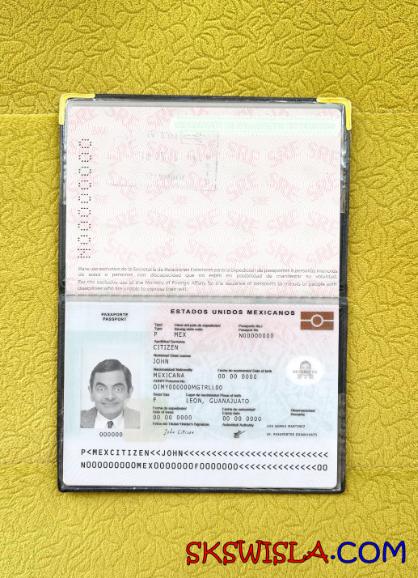 Meksyk paszport nowy 2022-obecnie fotowygląd, skan i fotorealistyczny snapshot, 2 w 1